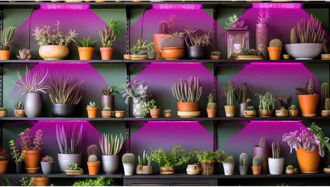 Norvo | LED Quantum Plante Lys Panel for Vekst og Farge Fremming – Med Justerbar Lysmodus