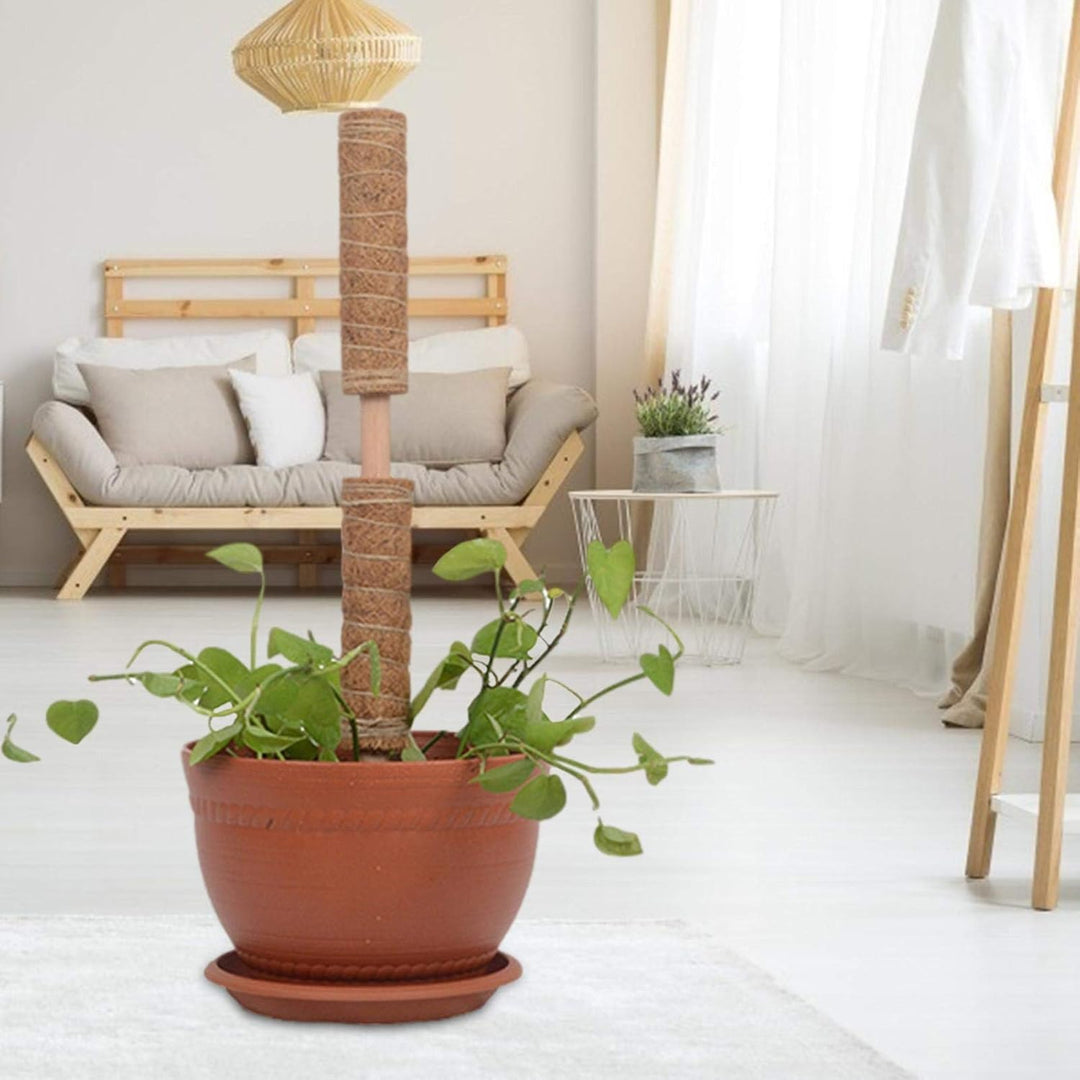 Norvo | Kokosnøtt mosepinne for klatreplanter – Naturlig klatrehjelp for stueplanter og hage