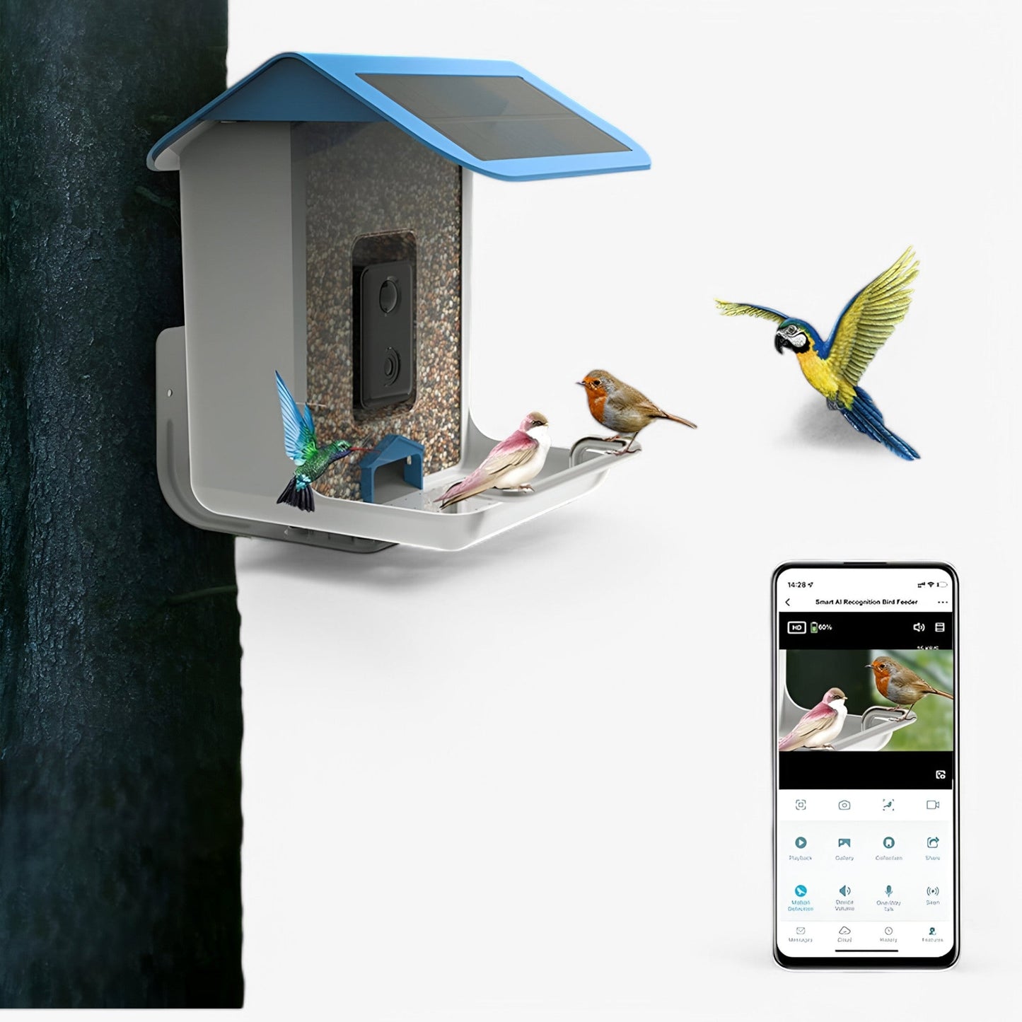 Norvo | Auxco | Smart Bird Feeder med 1080P HD Kamera, AI Fuglgjenkjenning & Solenergi Lading