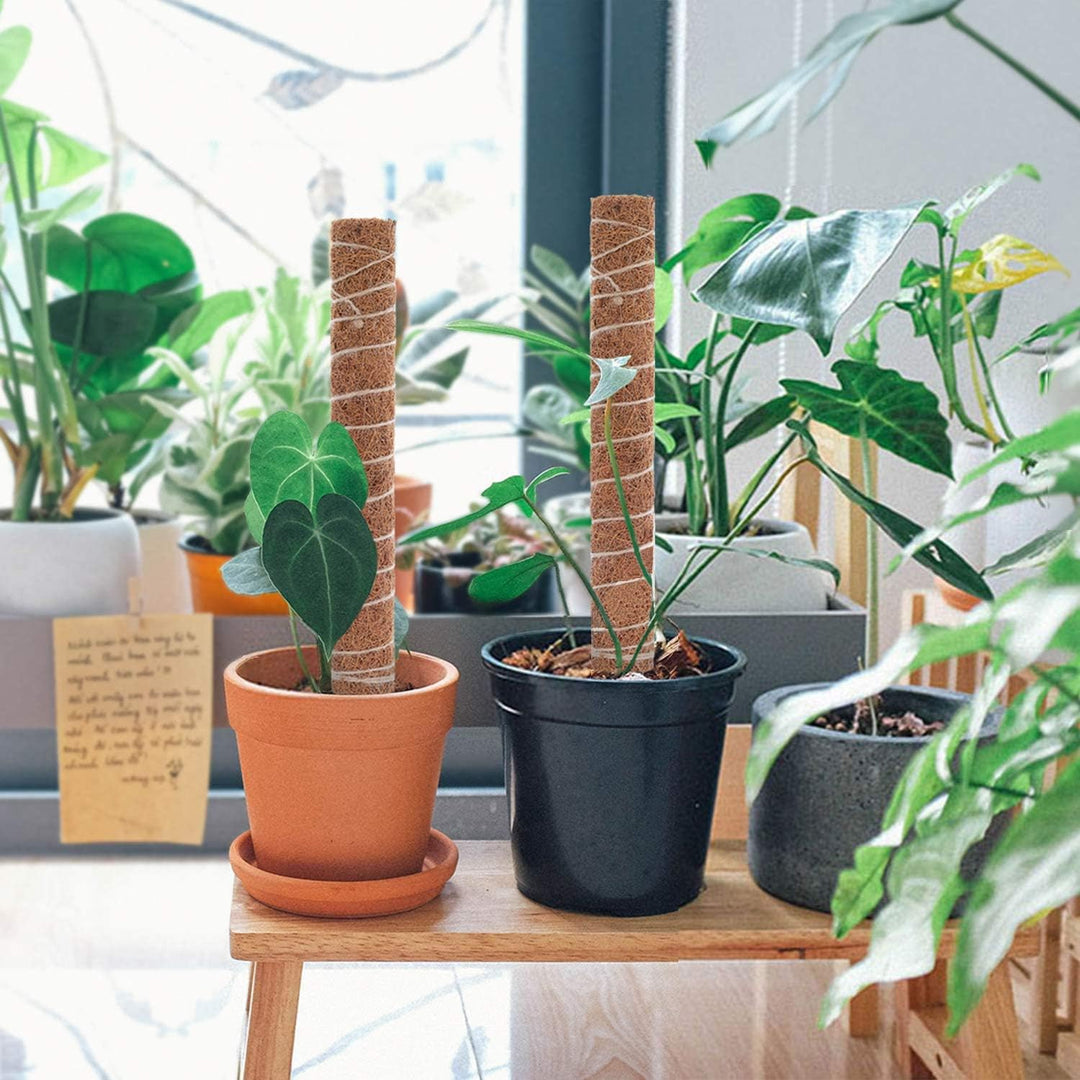 Norvo | Kokosnøtt mosepinne for klatreplanter – Naturlig klatrehjelp for stueplanter og hage