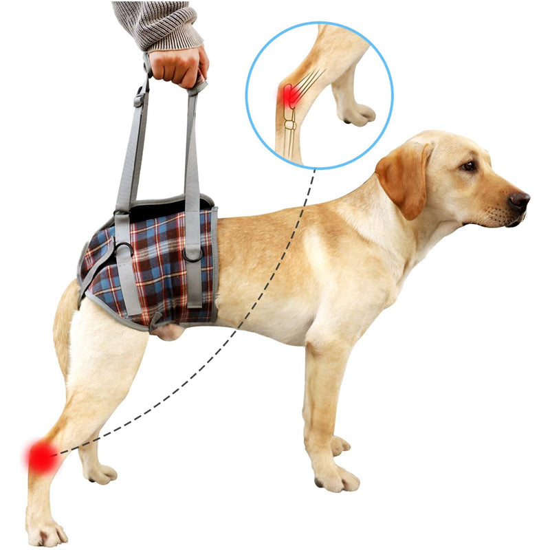 Norvo | Dog Lift Harness with Handle, Pet Recovery Sling