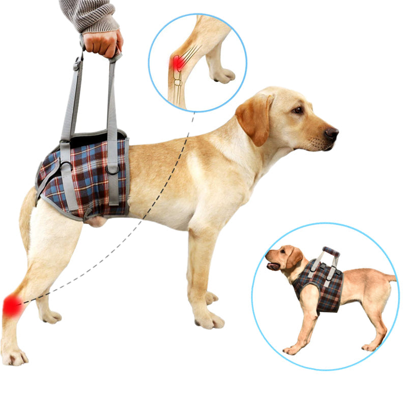 Norvo | Dog Lift Harness with Handle, Pet Recovery Sling
