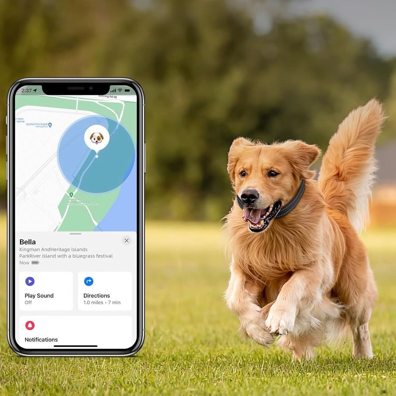 Norvo | LEAZO - AirTag hundehalsbånd