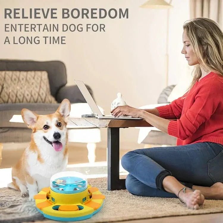 Norvo | PUZZLEFEAST – Intelligent fôringsskål for langsommere og sunnere spising