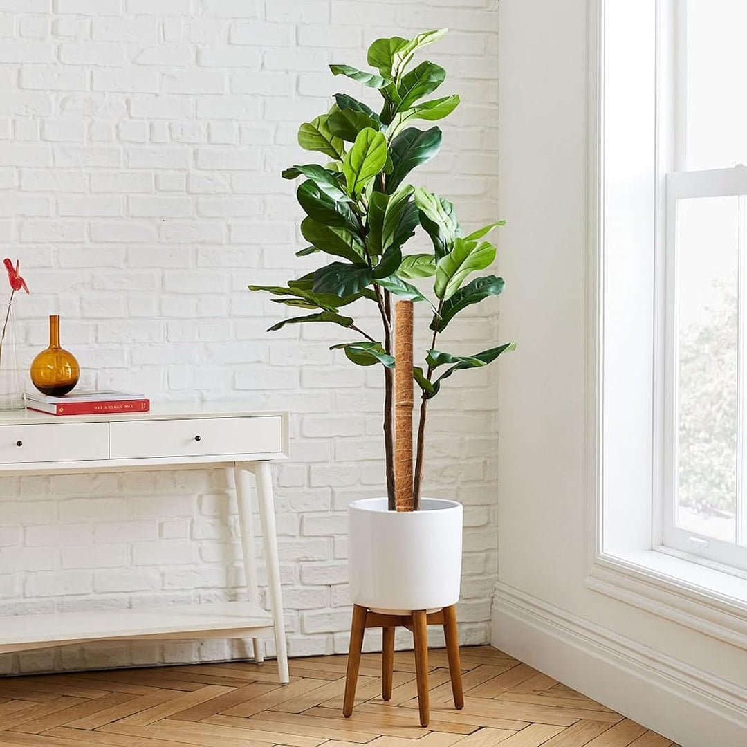 Norvo | Kokosnøtt mosepinne for klatreplanter – Naturlig klatrehjelp for stueplanter og hage