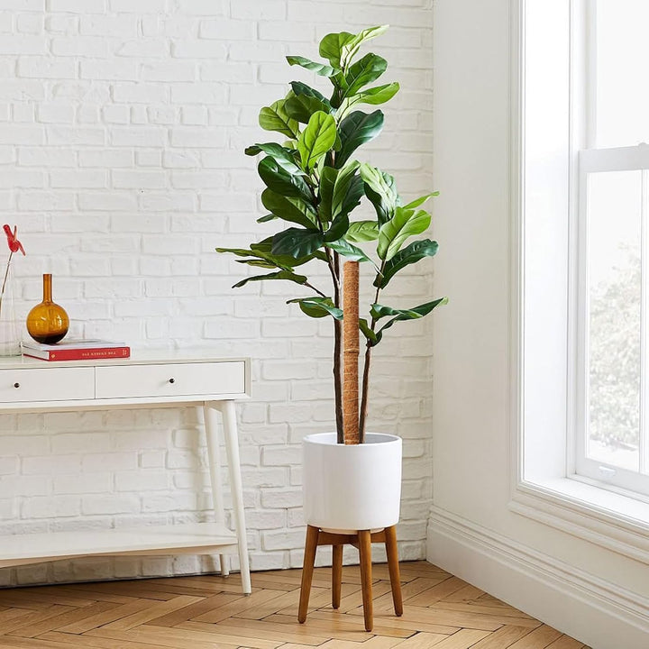 Norvo | Kokosnøtt mosepinne for klatreplanter – Naturlig klatrehjelp for stueplanter og hage