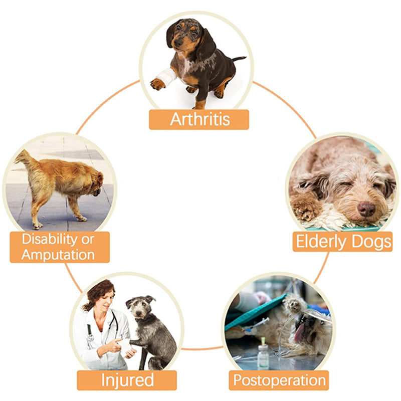 Norvo | Dog Lift Harness with Handle, Pet Recovery Sling