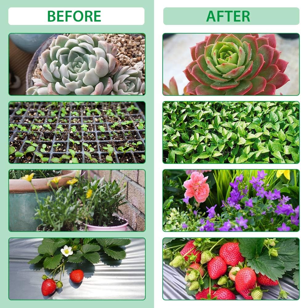 Norvo | Plantevekstlys med 4 fleksible armer og dimmefunksjon for innendørs hager