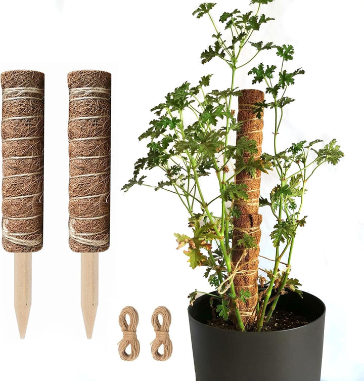 Norvo | Kokosnøtt mosepinne for klatreplanter – Naturlig klatrehjelp for stueplanter og hage