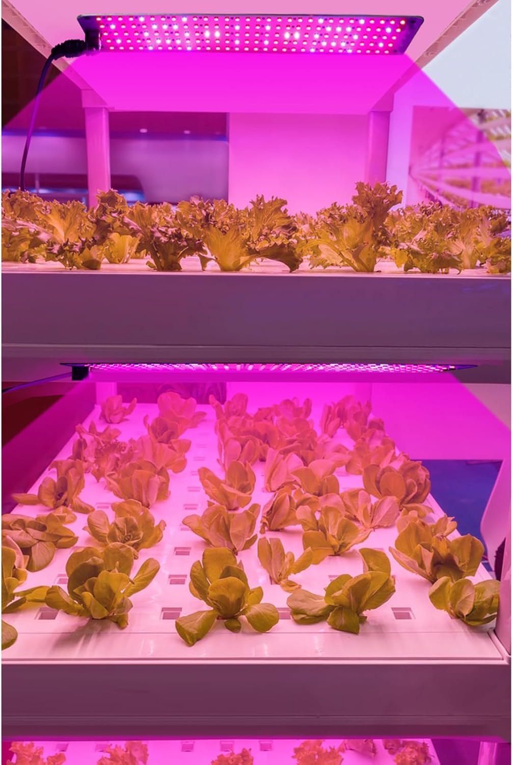 Norvo | LED Quantum Plante Lys Panel for Vekst og Farge Fremming – Med Justerbar Lysmodus