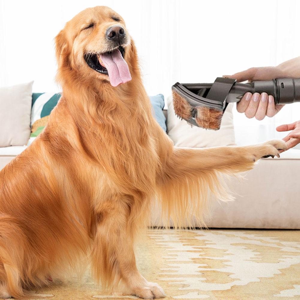 Norvo | DogCatFri VacuumBrush – Pet Grooming Vacuum Brush Attachment for Easy Hair Removal