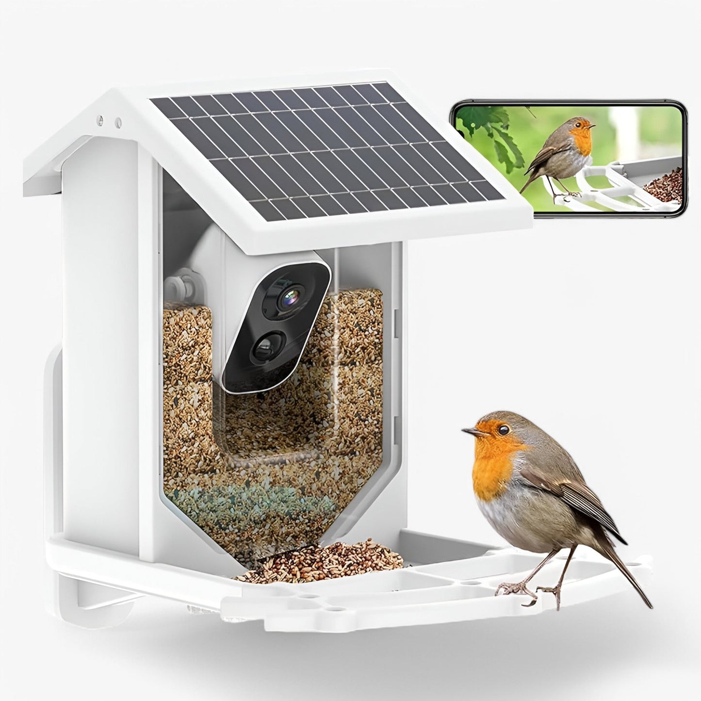 Norvo | Auxco | Smart Bird Feeder med 1080P HD Kamera, AI Fuglgjenkjenning & Solenergi Lading