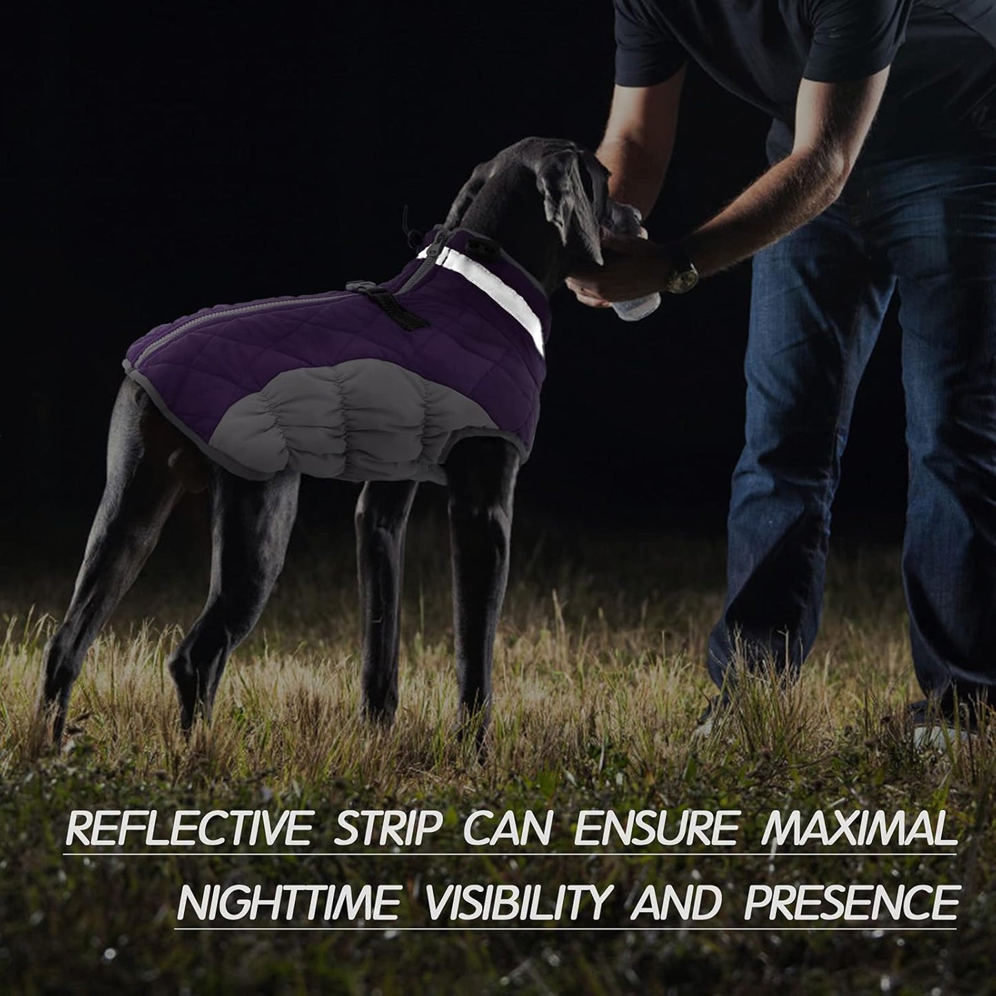 Norvo | SafeWalk Vintersele Jakke – Vanntett hundejakke med refleks og fleeceforing