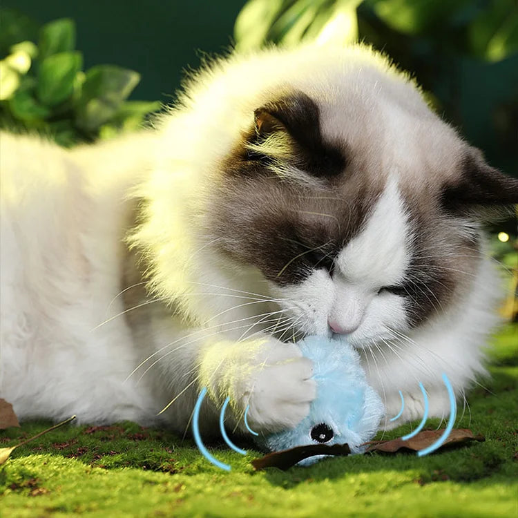 Norvo | – smarter interaktiv plysboll for katter | kjøp 1, få 1 gratis 🎁