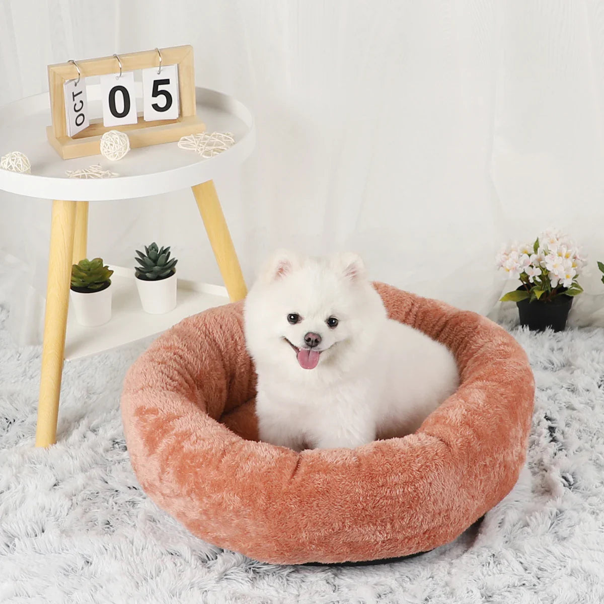 Norvo | Fluffy Hund Puter Bed