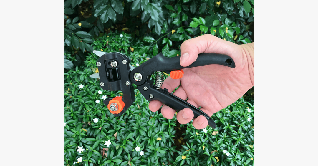 Norvo | Nifty Gardener's Graft – Forbedre dine hageferdigheter!