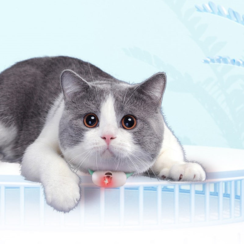 Norvo | Bærbare Laser Automatiske Katt-lekler