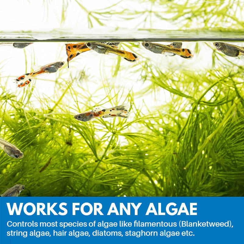 Norvo | Akvarierengjøringspulver