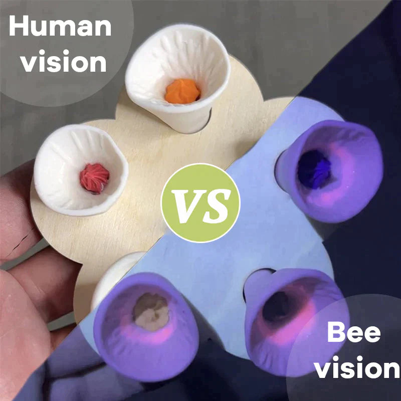 Norvo | Bee Drikkekopp