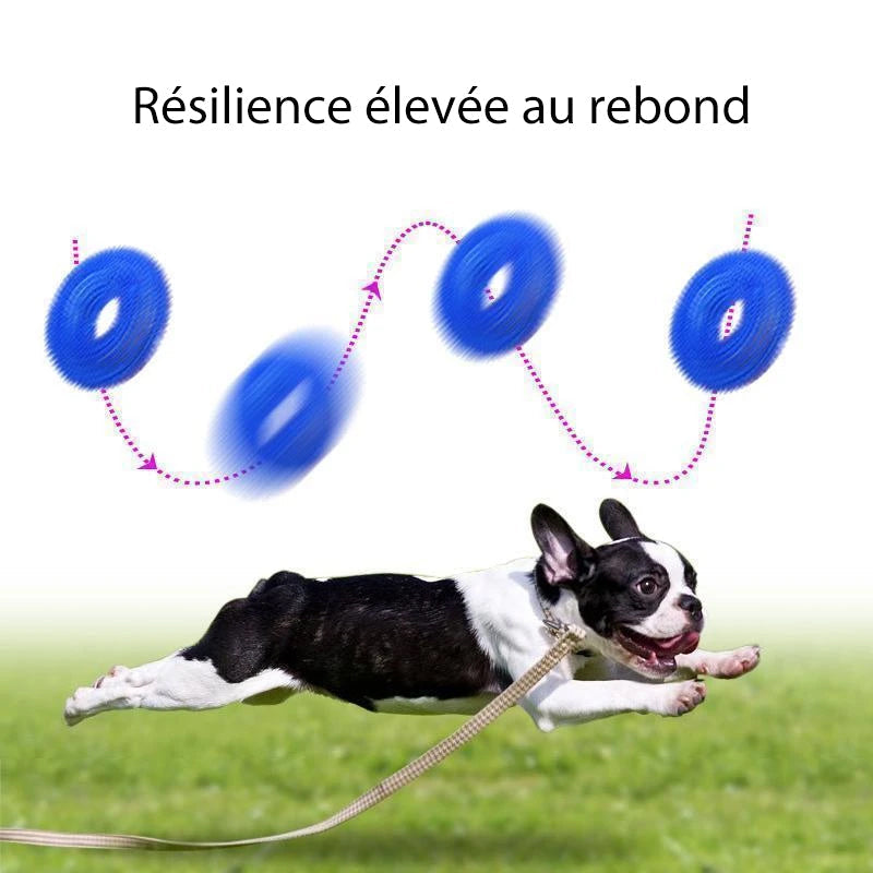 Vocal Ball Hundekjøttleketøy | Norvo