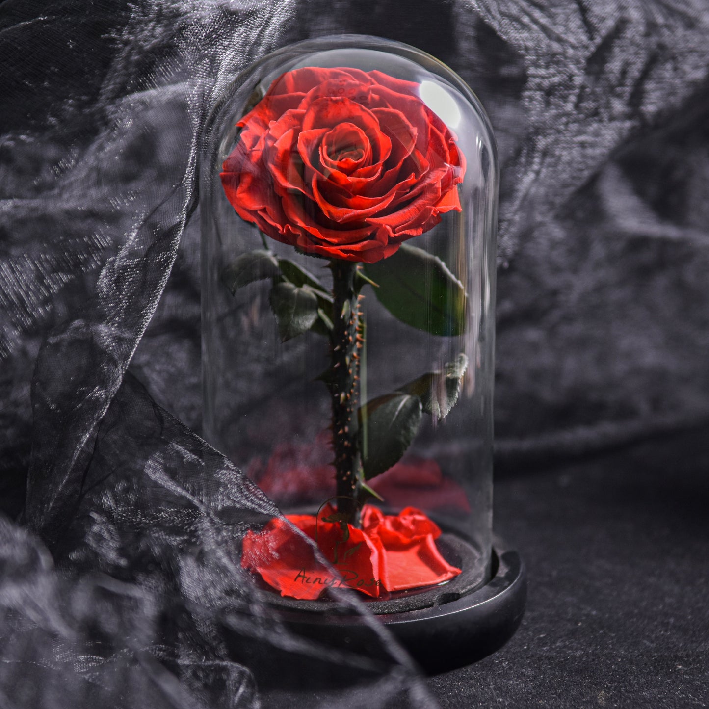 Norvo | Forever Rose – Evig rose i glasskuppel, 3 dager leveringstid – Rosa