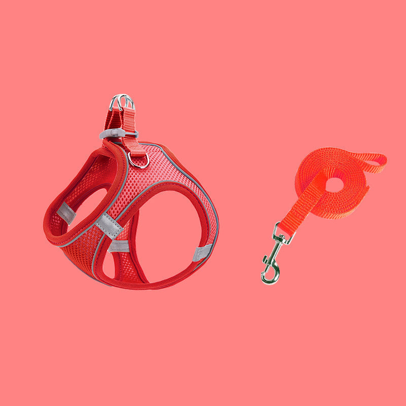 Norvo | Designet for å løfte brystet til kjæledyr