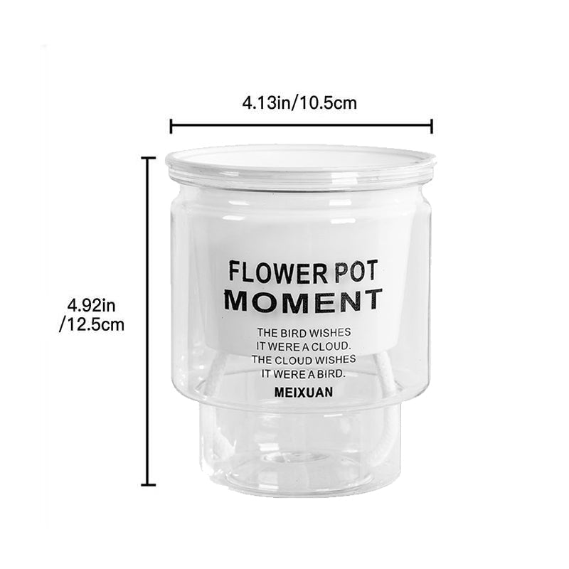 Norvo | Selvvannende Gjennomsiktig Saftig Plantekrukke