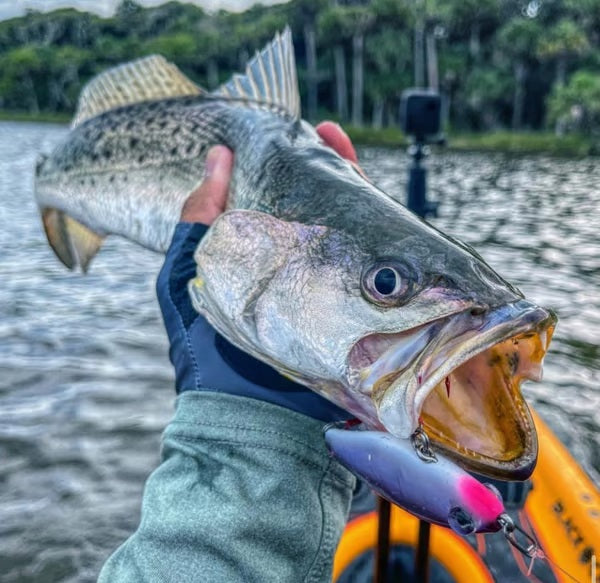 Norvo | ProSnap Lås