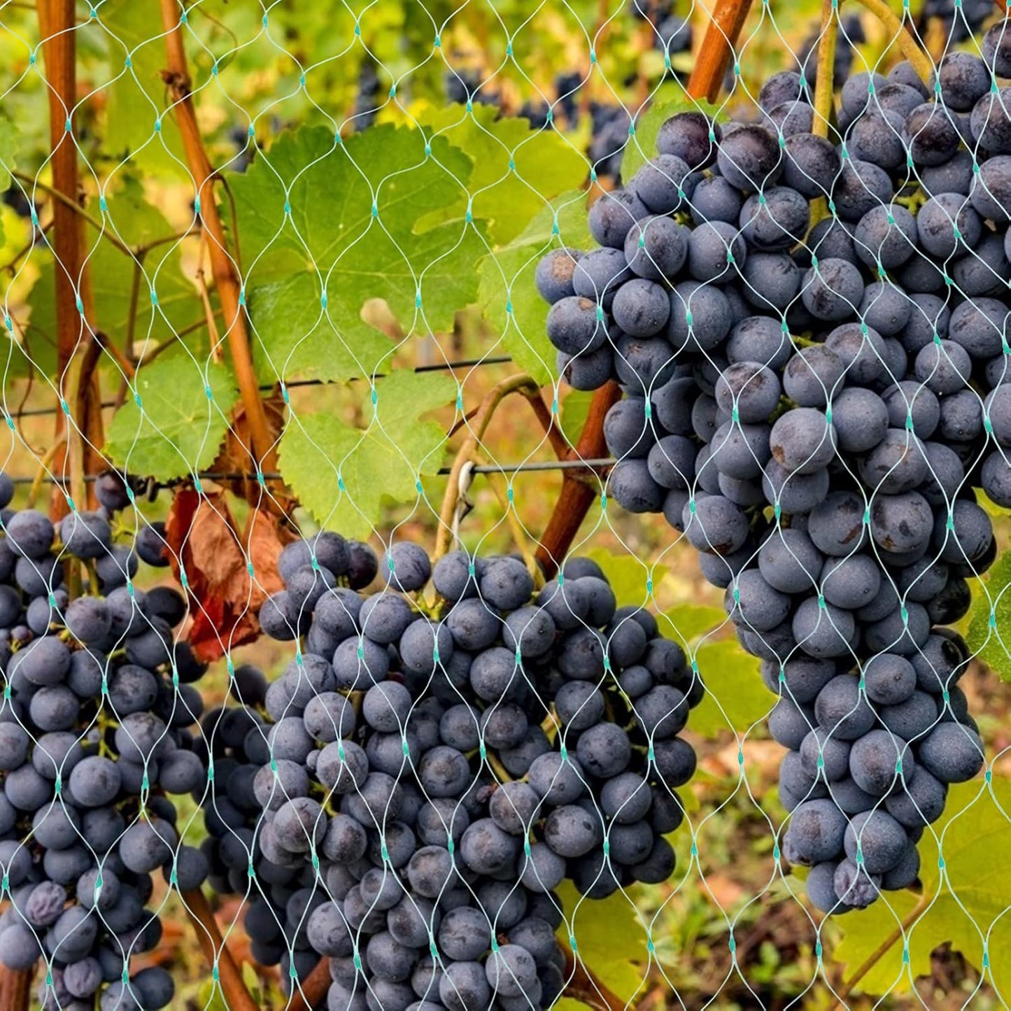 Norvo | Beskyttelsesnett for hageplanter – Grønt nett mot skadedyr og dyr