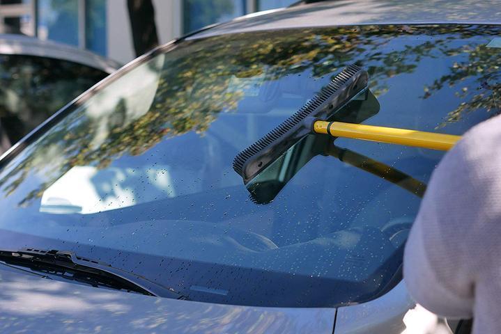 Norvo | Kost med skrape laget av naturlig gummi, flerbruks og fjerning av dyrehår