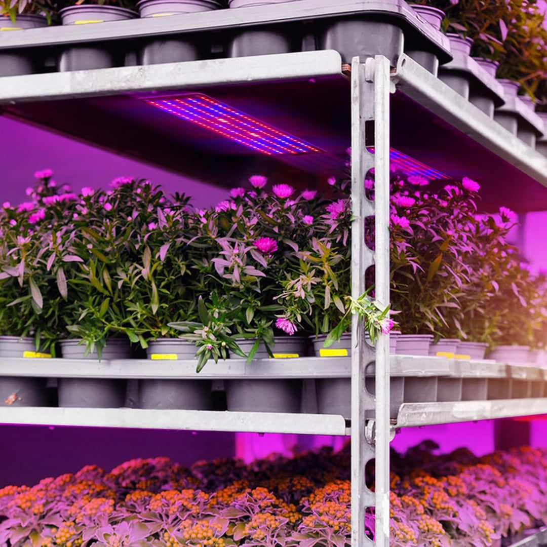Norvo | LED Quantum Plante Lys Panel for Vekst og Farge Fremming – Med Justerbar Lysmodus