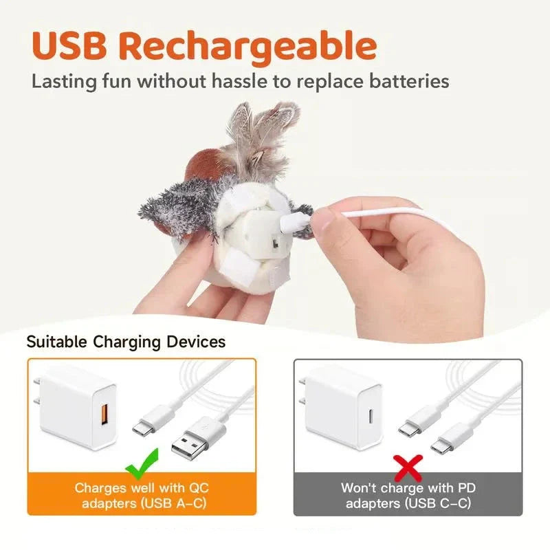 Norvo | Chirpy Katt leketøy