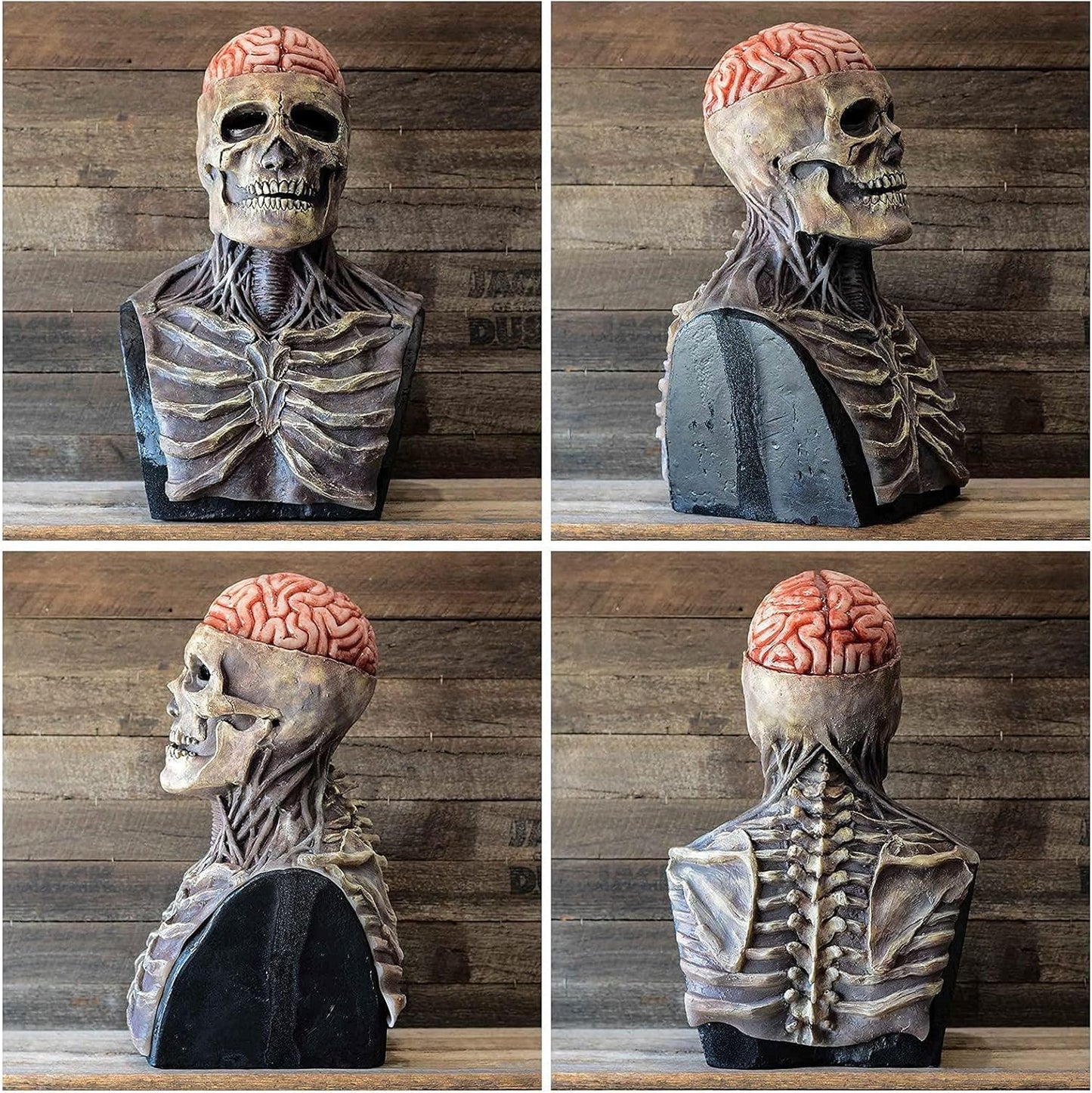 Norvo | Halloween Hodeskallemaske med Hjernekontur