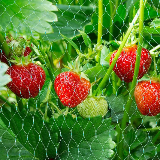 Norvo | Beskyttelsesnett for hageplanter – Grønt nett mot skadedyr og dyr