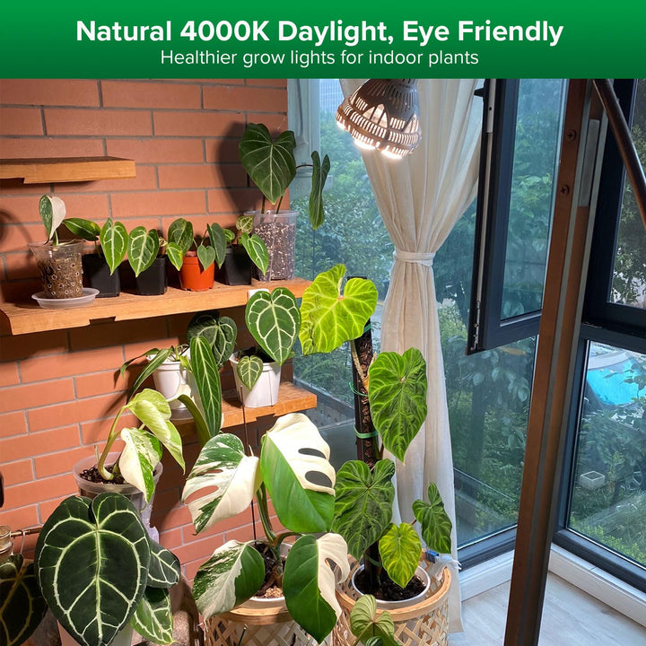 Norvo | Sansi 24W Vekstlyspære, Full Spektrum, Høy Ppfd, Perfekt For Innendørs Planter Og Blomster