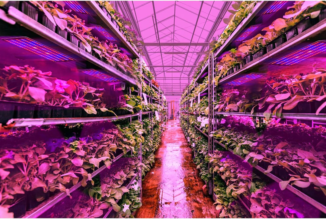 Norvo | LED Quantum Plante Lys Panel for Vekst og Farge Fremming – Med Justerbar Lysmodus