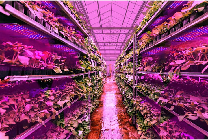 Norvo | LED Quantum Plante Lys Panel for Vekst og Farge Fremming – Med Justerbar Lysmodus