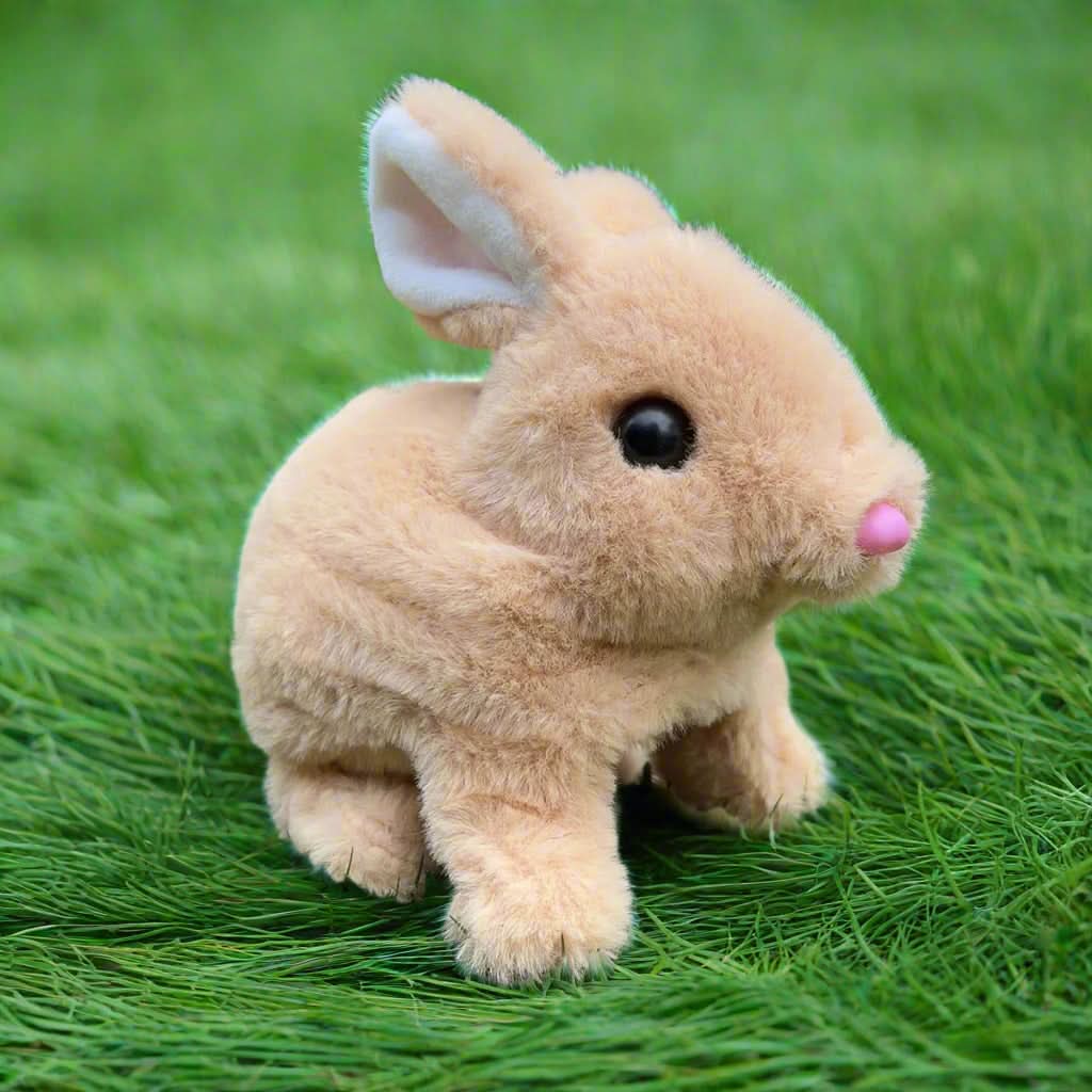 Norvo | bevegelse & lyd for endeløs moro