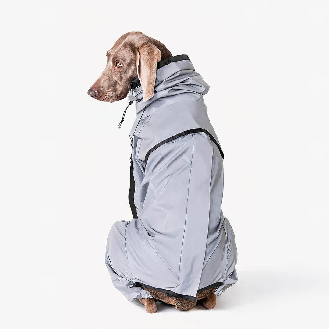 Norvo | Reflekterende Allvær Vanntett Kule Hundetilbehør Regnjakke