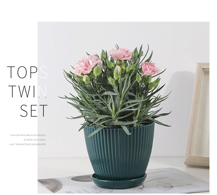 Norvo | Blomsterpotte med sporstruktur og skål – Robust plastpotte for planter