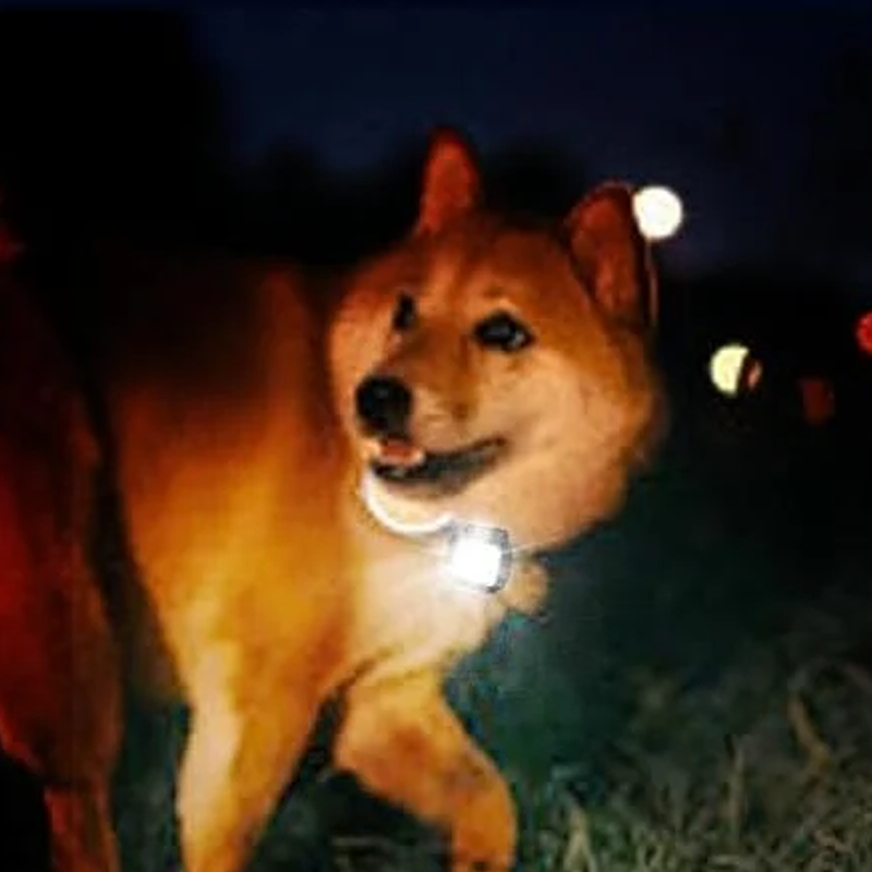 Norvo | Bærbar Magnetlampe