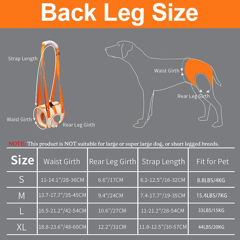 Norvo | Dog Support Lift Harness for ACL Rehab & Arthritis
