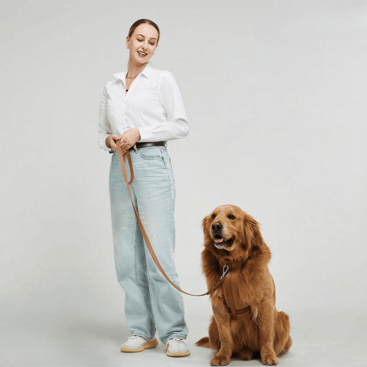 Norvo | ComfyPaws Hundesele Gåsett med Bånd og Bæsjeposeholder