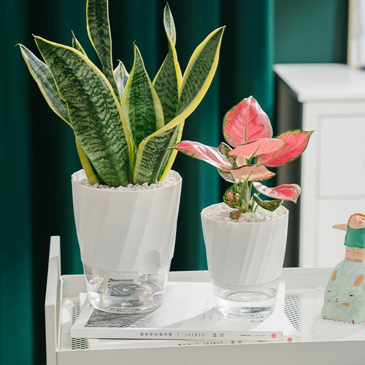 Norvo | Selv vanning planter
