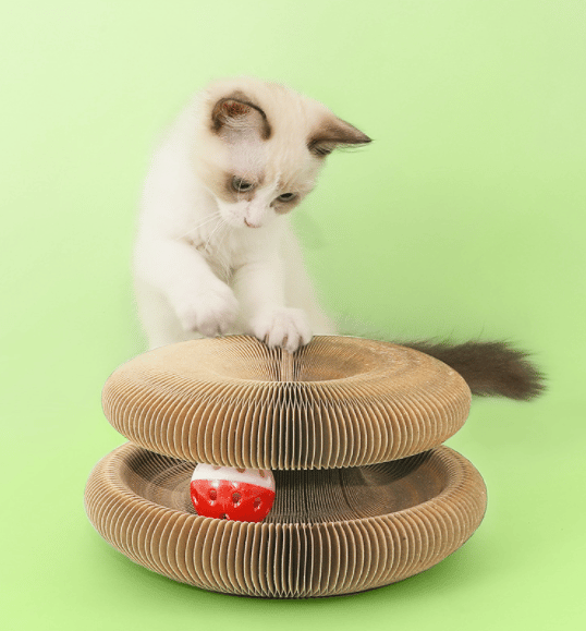 Norvo | Magisk Katteklorebrett (med ball)