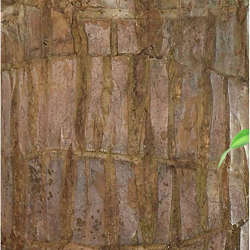 Norvo | Lucky Brazil Wood Potted Plant