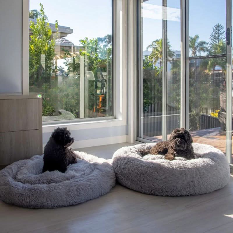 Norvo | PAWLOFT - Beroligende kjæledyrseng