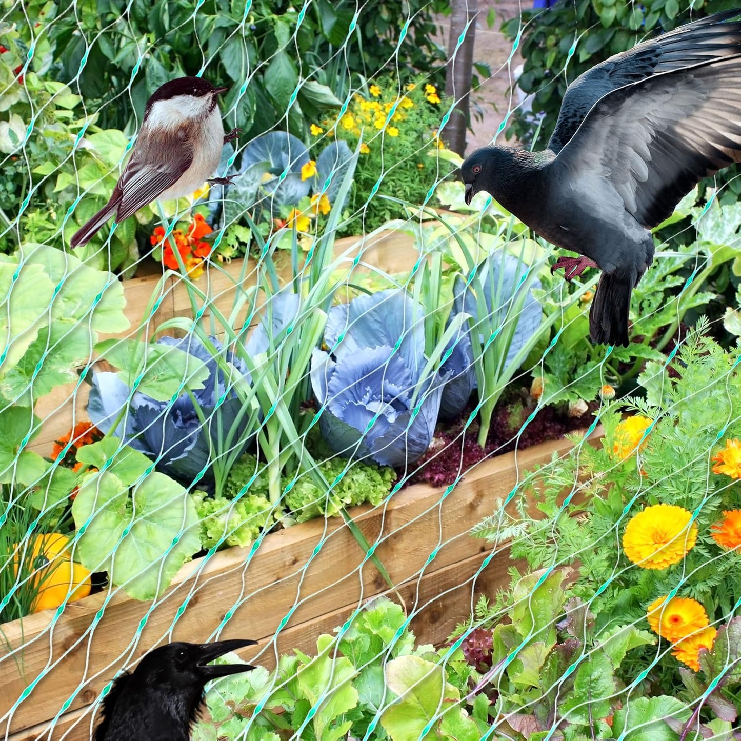 Norvo | Beskyttelsesnett for hageplanter – Grønt nett mot skadedyr og dyr