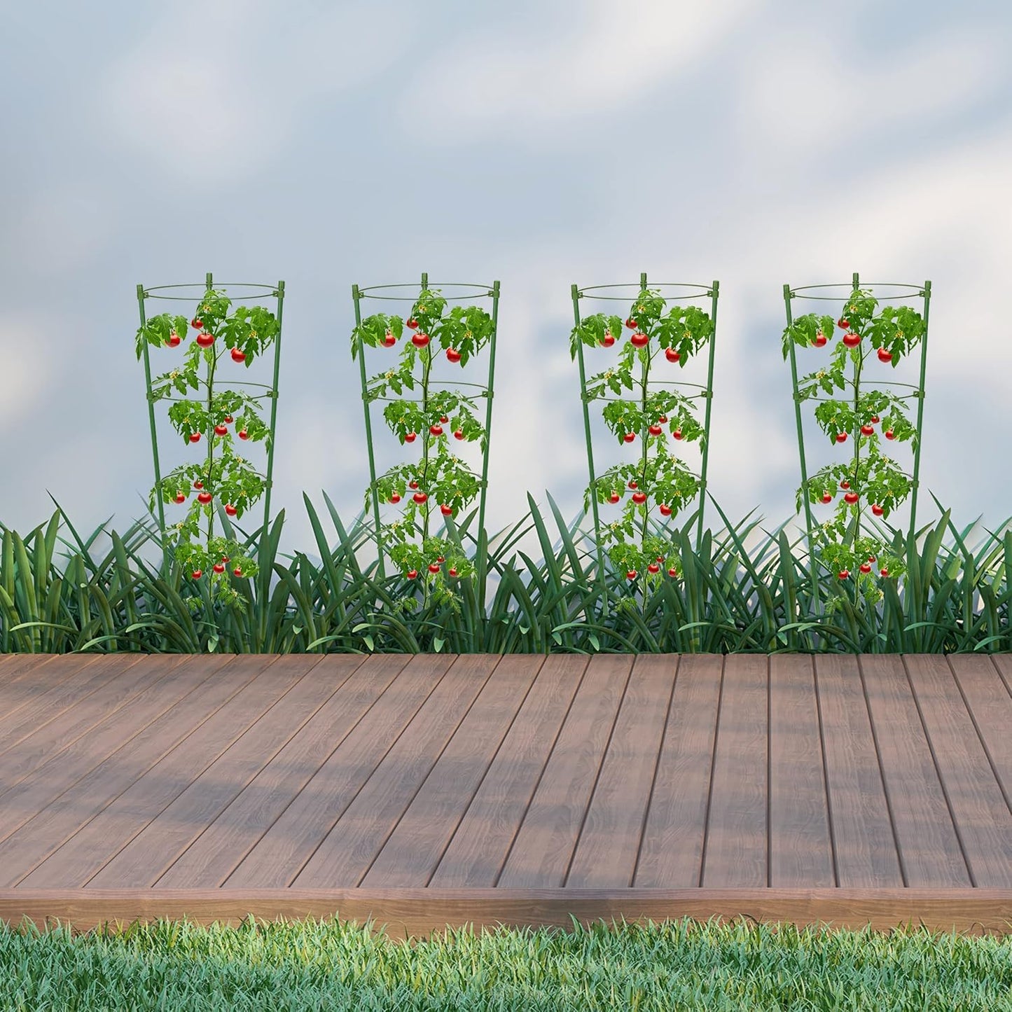 Norvo | Klatre ramme for planter – Solid støtte ring ramme for klatrende planter