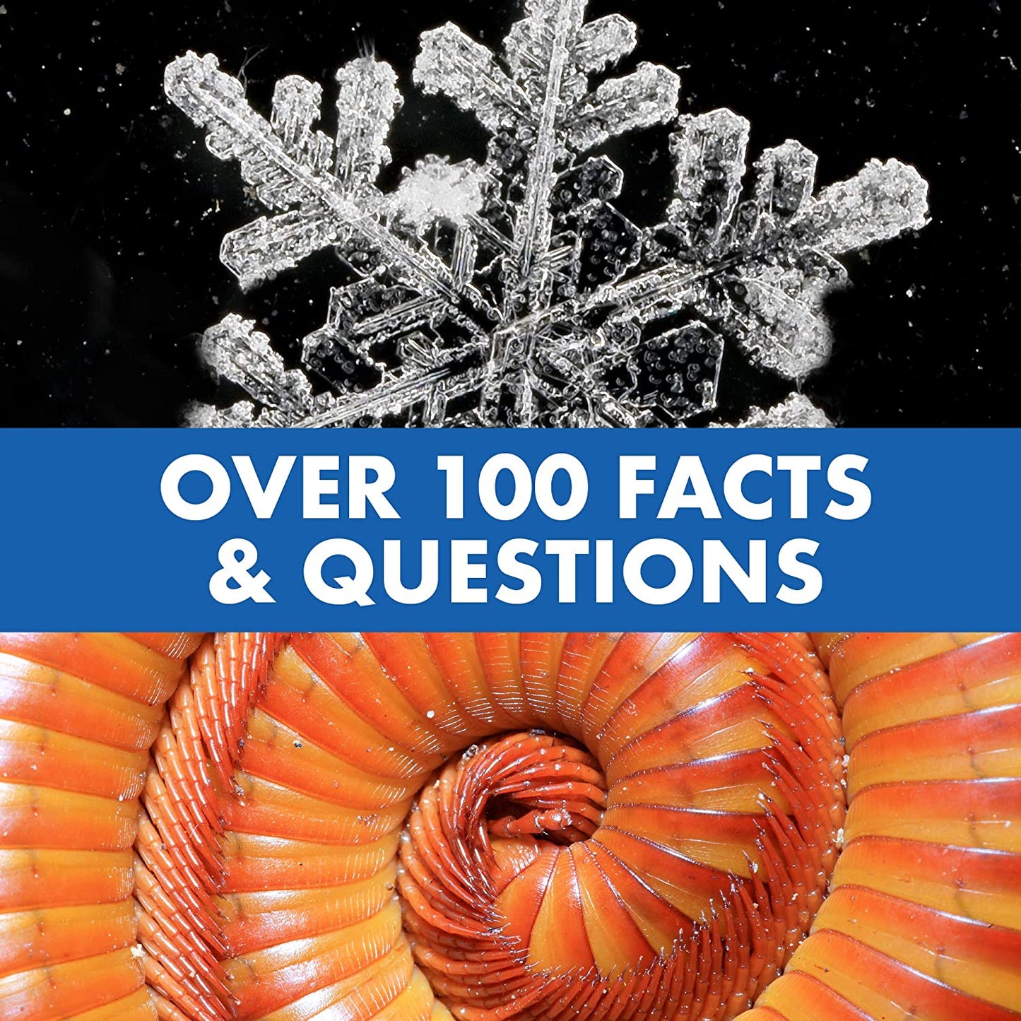 Norvo | MiniScope | Oppdag mikro-verdenen - Utdannings STEM mikroskop for barn